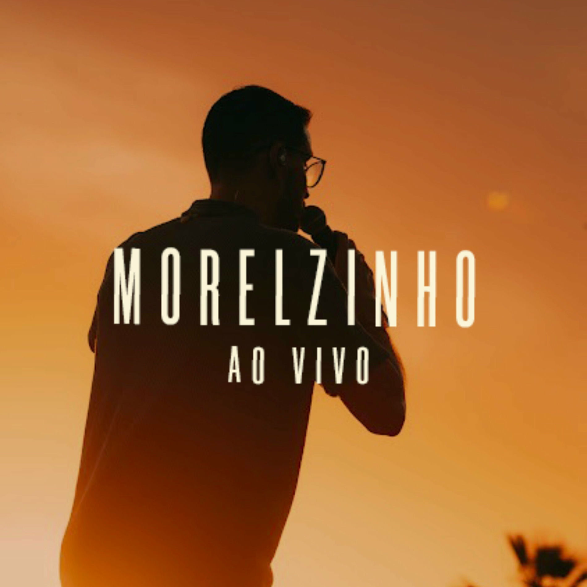 Artist picture of Morelzinho