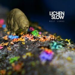 Picture of Lichen Slow