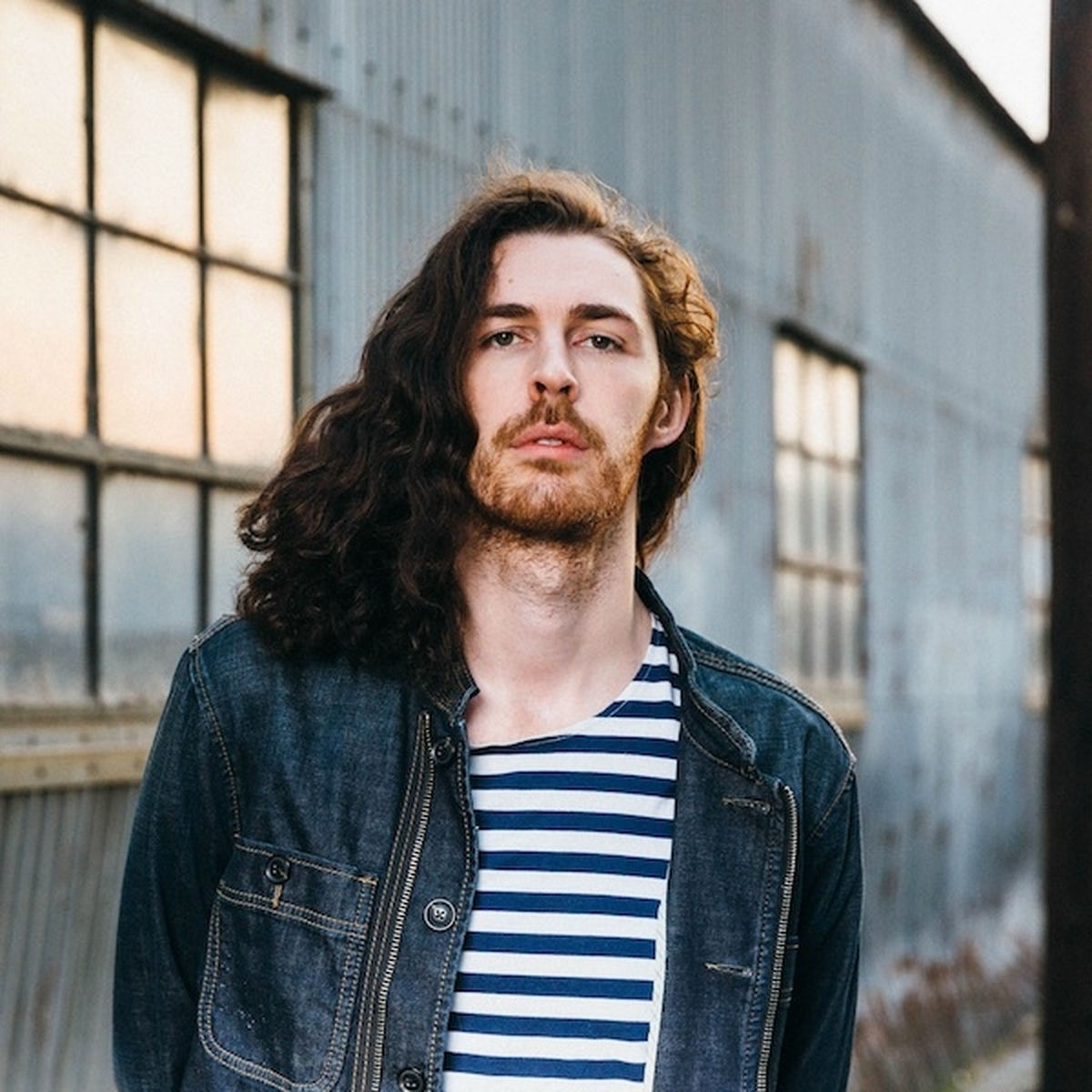 Artist picture of Hozier