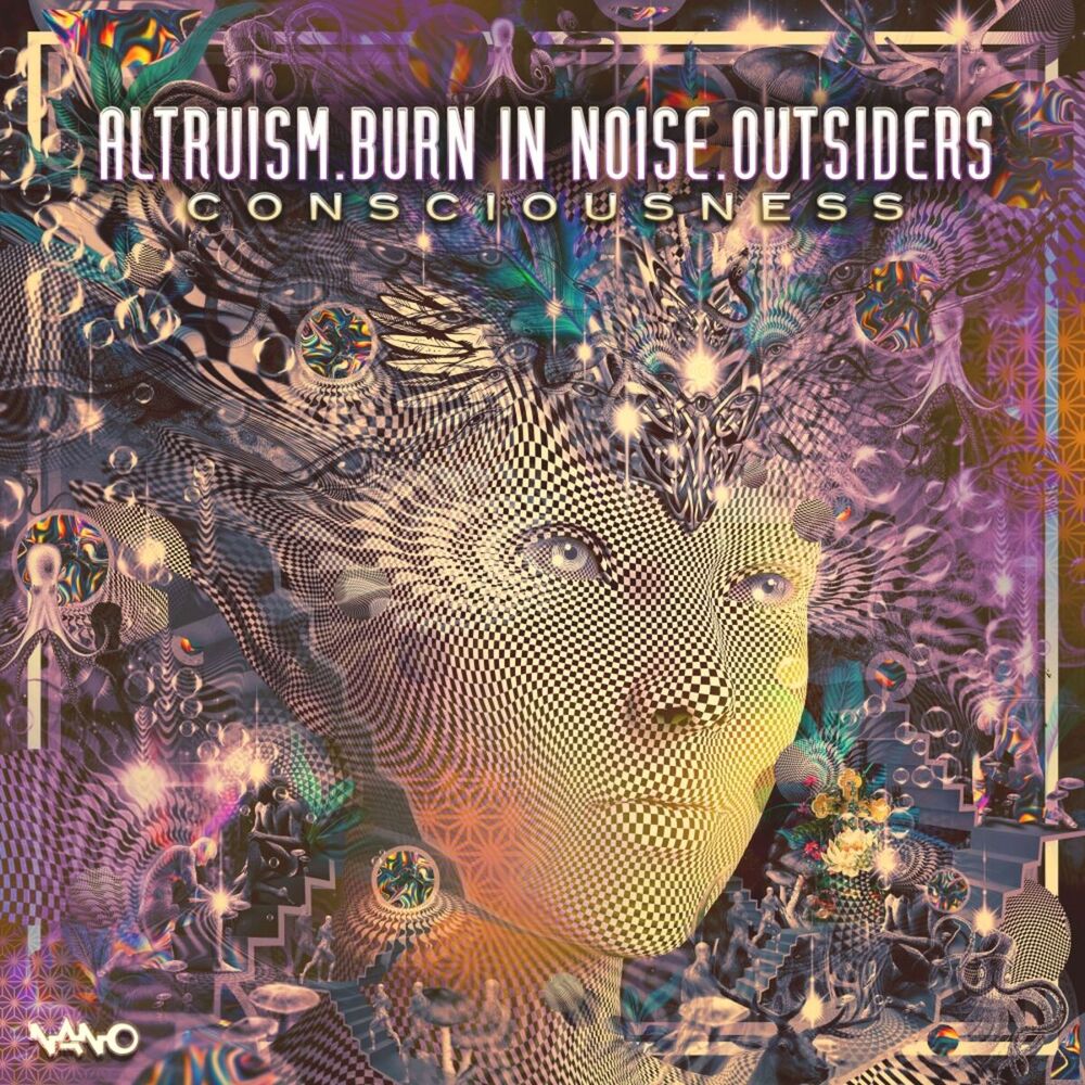 Picture of Burn in Noise