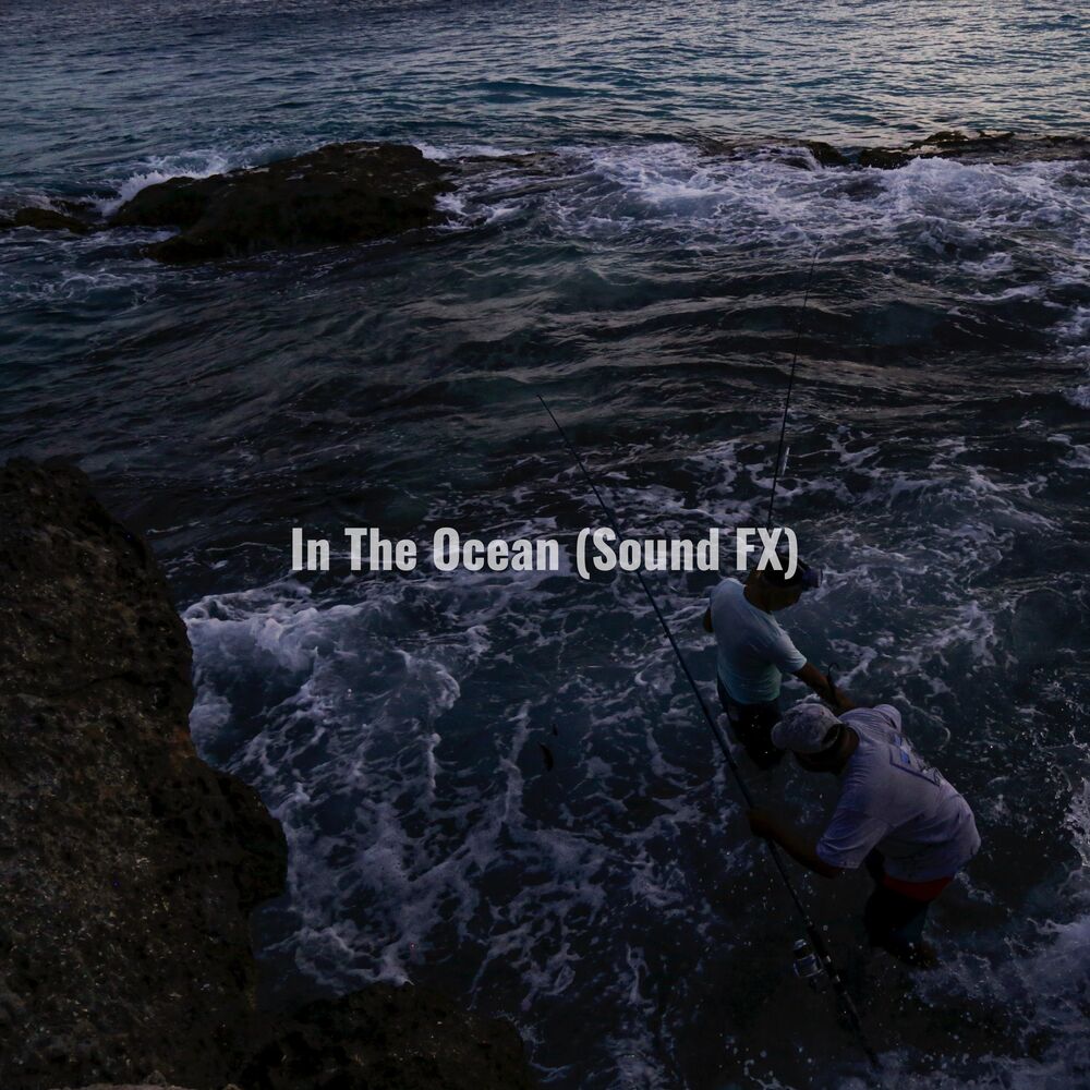Picture of In The Ocean (Sound FX)