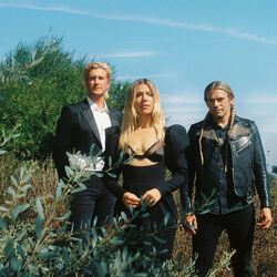 Picture of The Band Perry