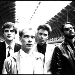 Picture of Josef K