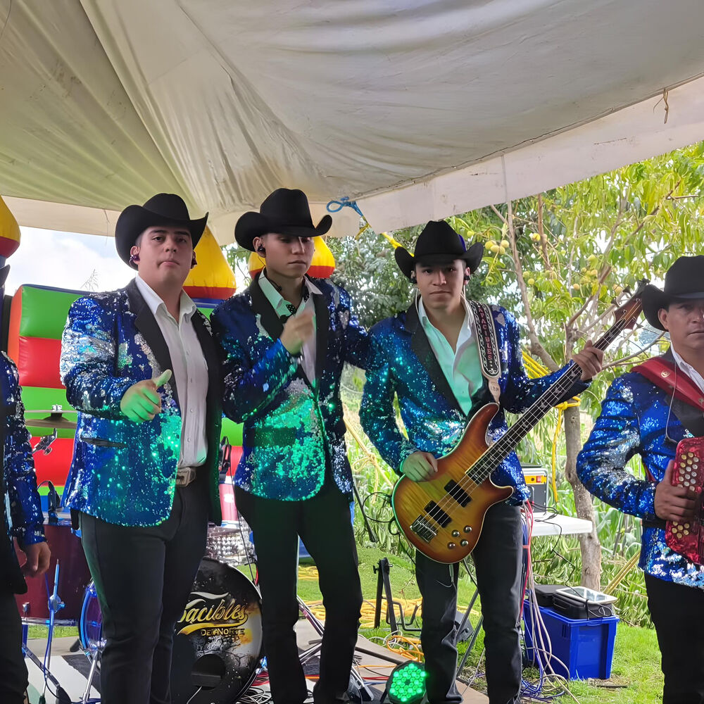 Picture of Apacibles Del Norte