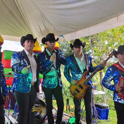 Picture of Apacibles Del Norte