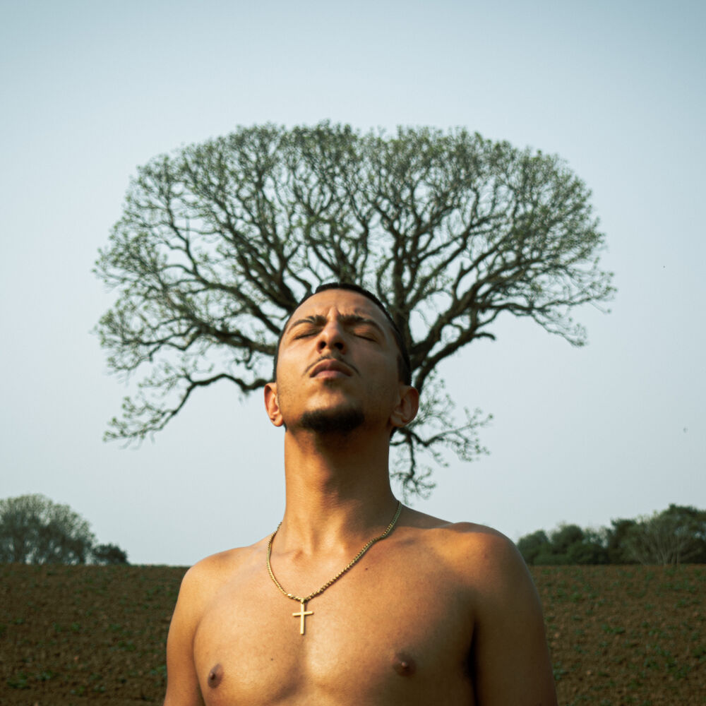 Picture of Pecaos