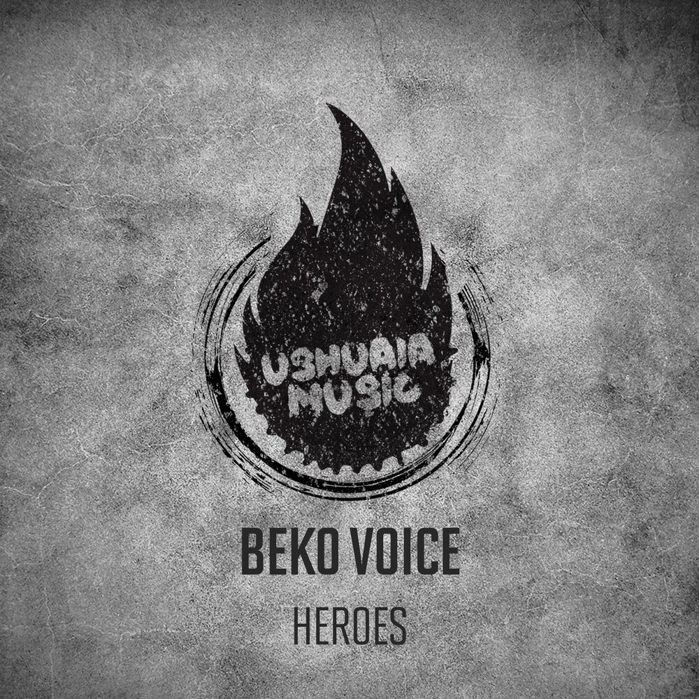 Picture of Beko Voice