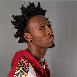 Picture of Vanzo
