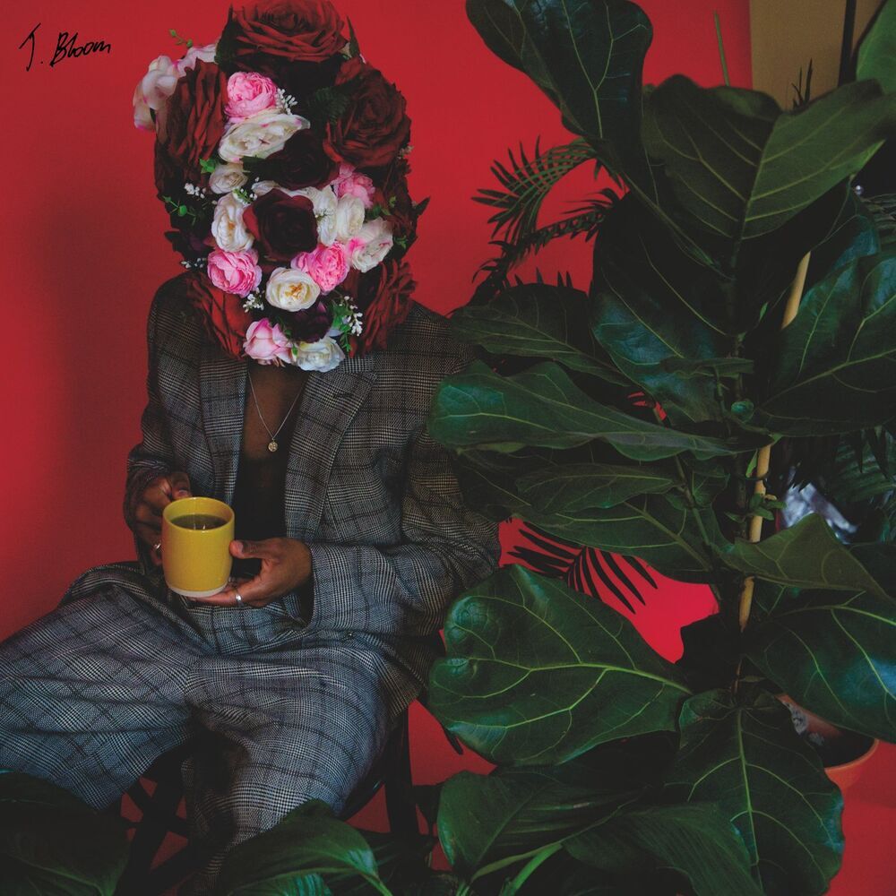 Picture of Treasure Bloom