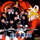 Grupo Ginnsu