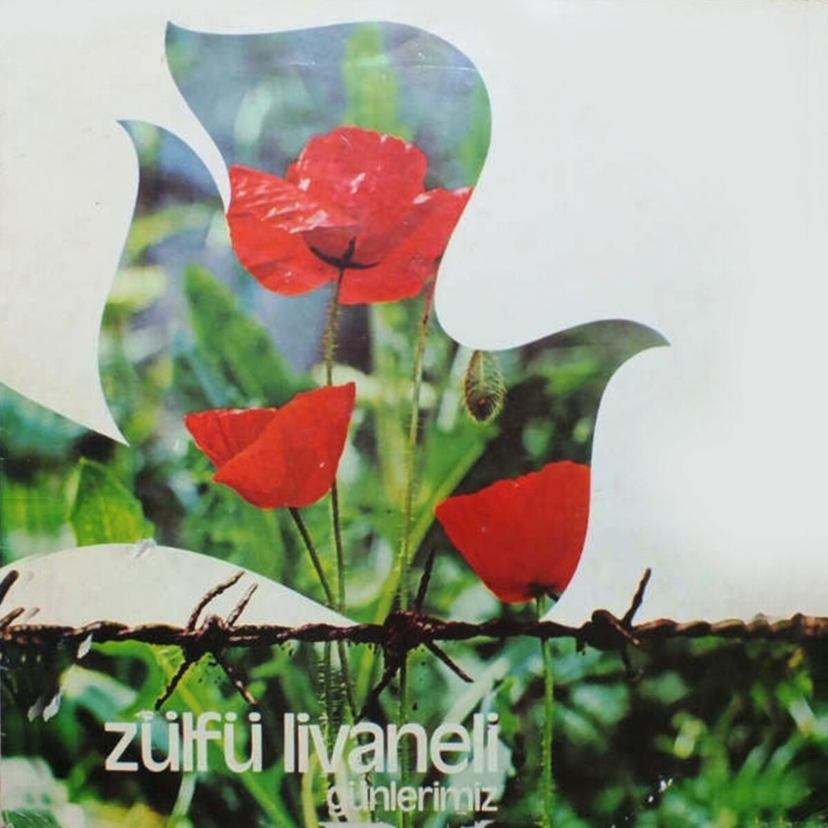 Zülfü Livaneli