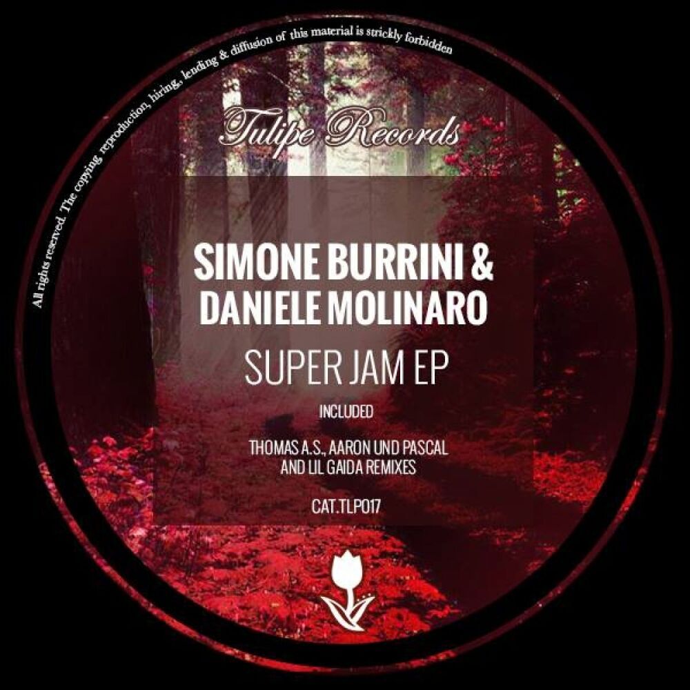 Picture of Simone Burrini,Daniele Molinaro