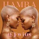 Q Twins