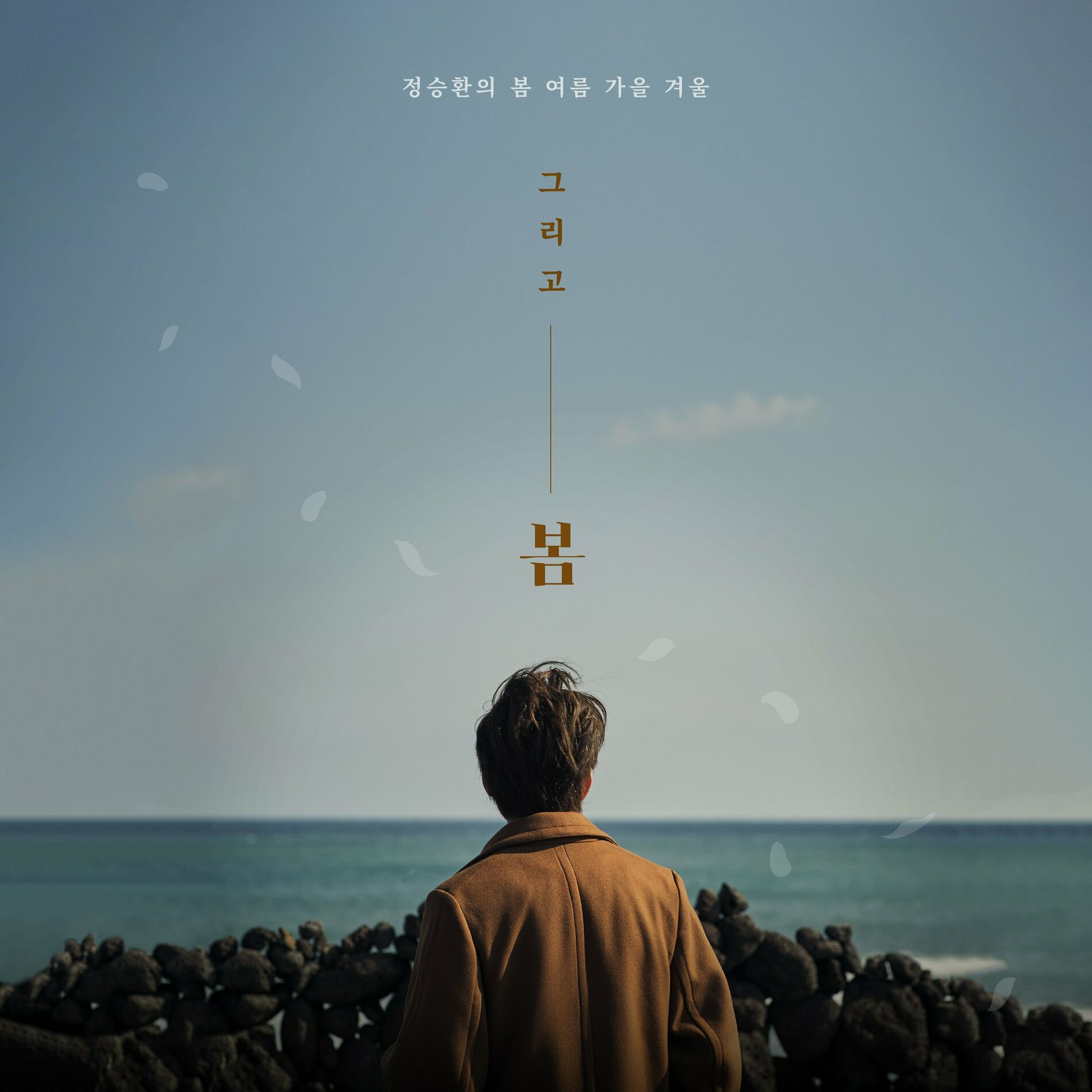 Jung Seung Hwan