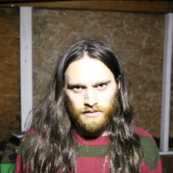 Picture of Bearded Legend