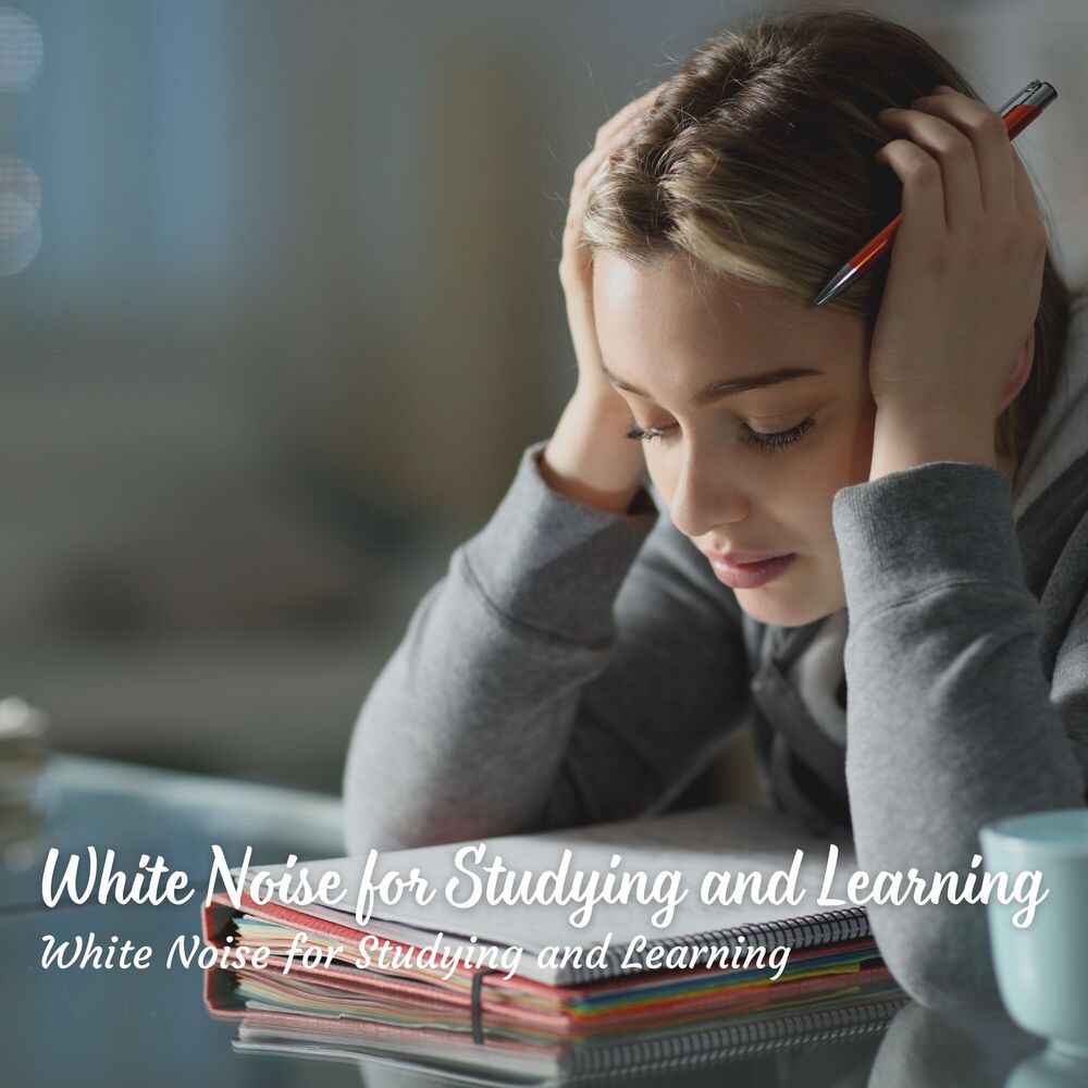 Picture of Relaxing Study Music Radio