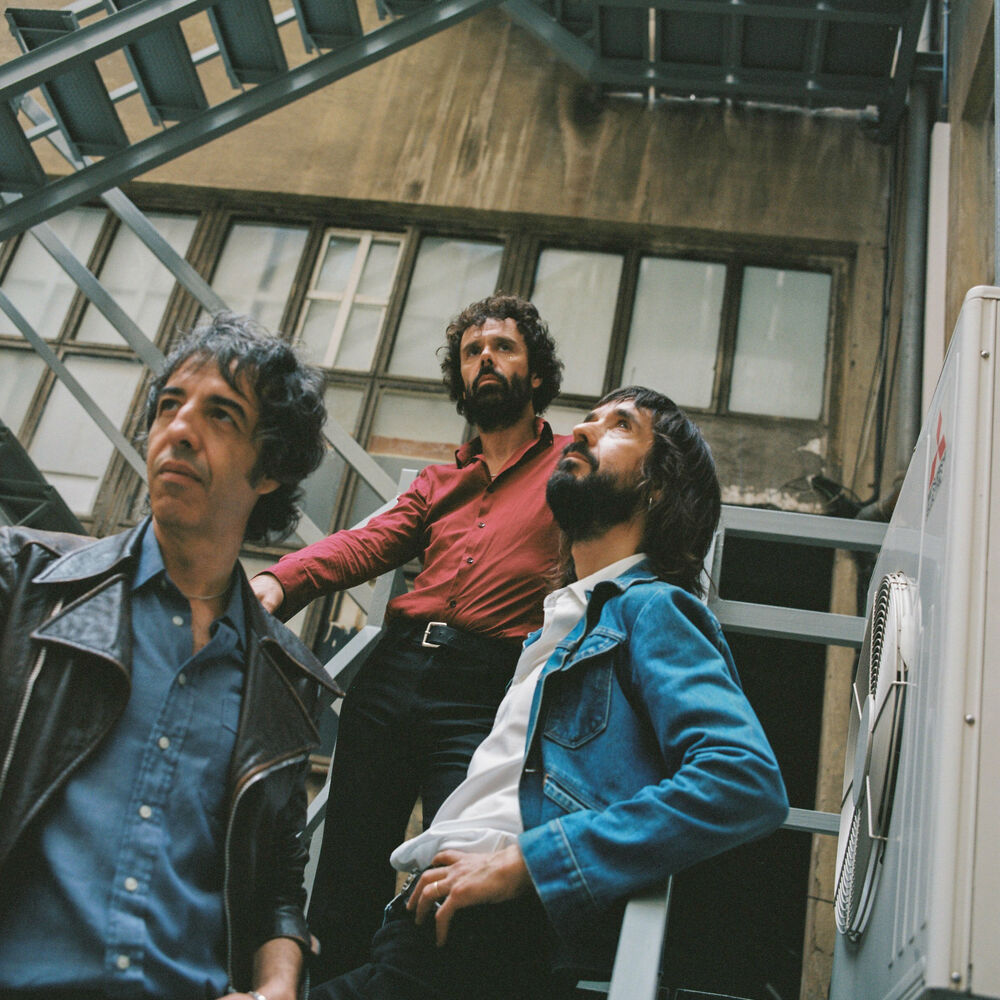 Picture of Sidonie