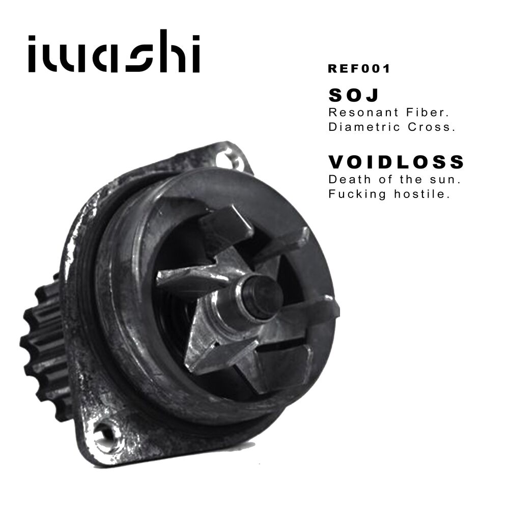 Picture of Voidloss