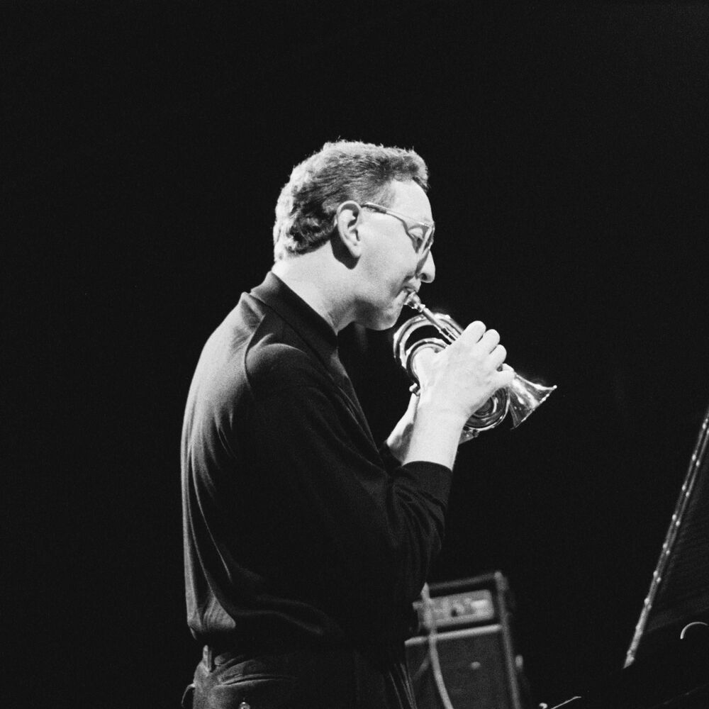 Picture of Steve Beresford