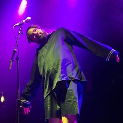 Picture of Reggie And The Full Effect