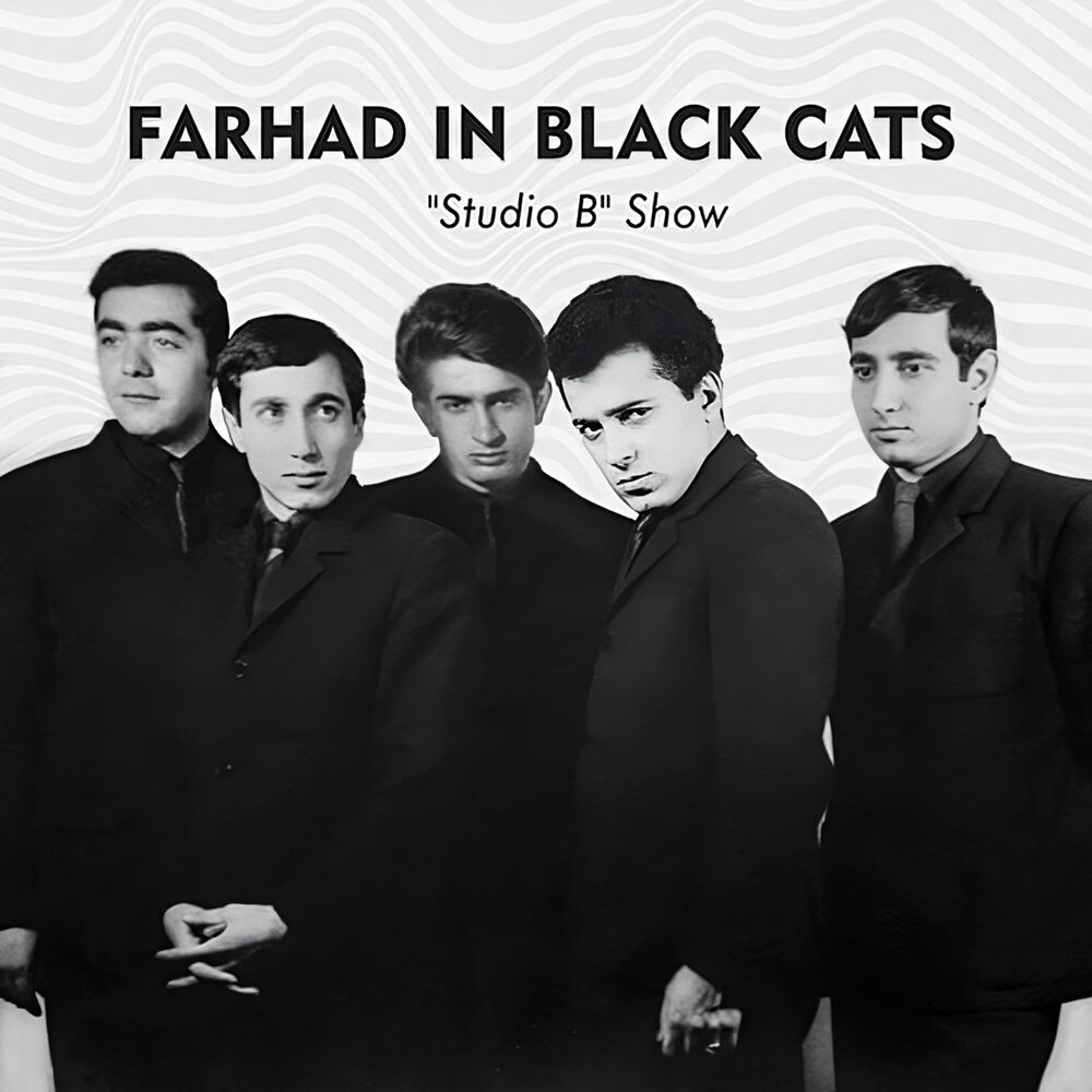 Picture of Farhad Mehrad