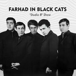 Picture of Farhad Mehrad