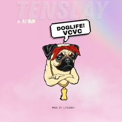 Picture of TENSLAY