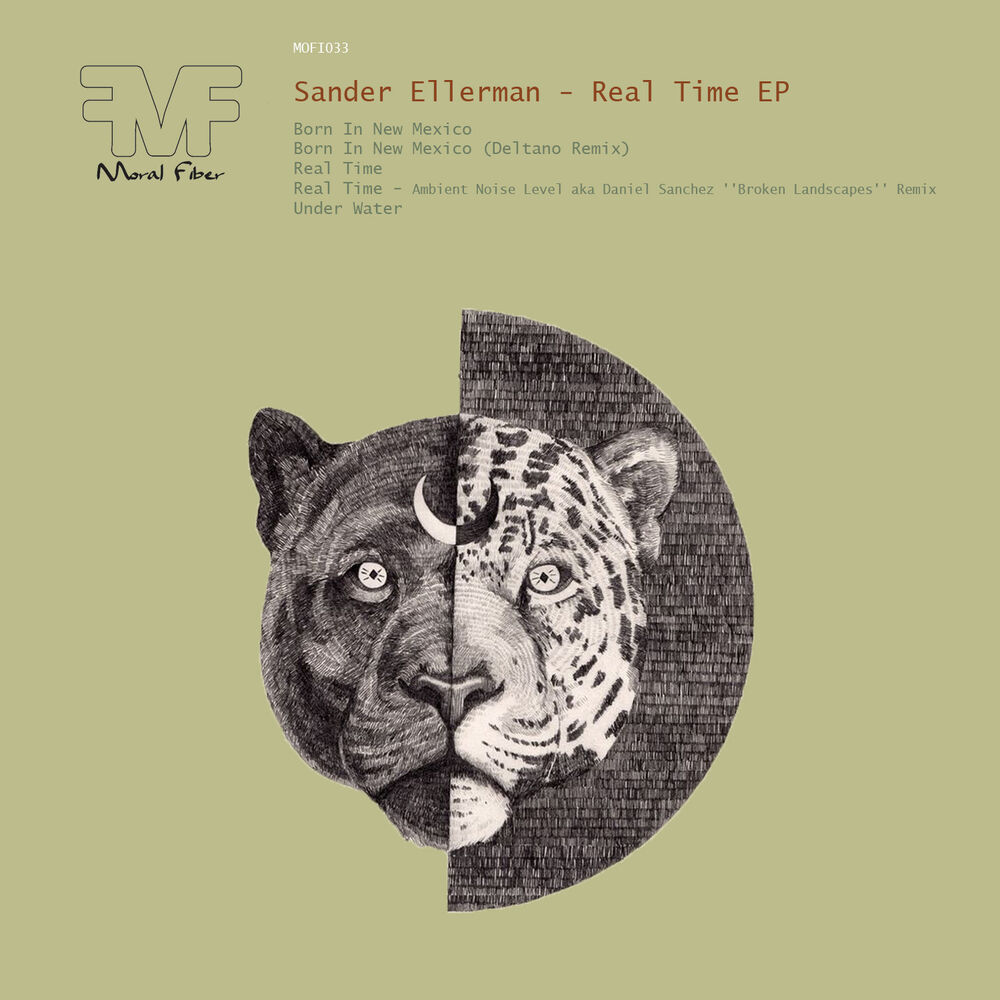 Picture of Sander Ellerman