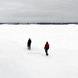 Picture of Nordica