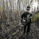 J Mascis