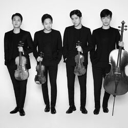 Picture of Novus Quartet