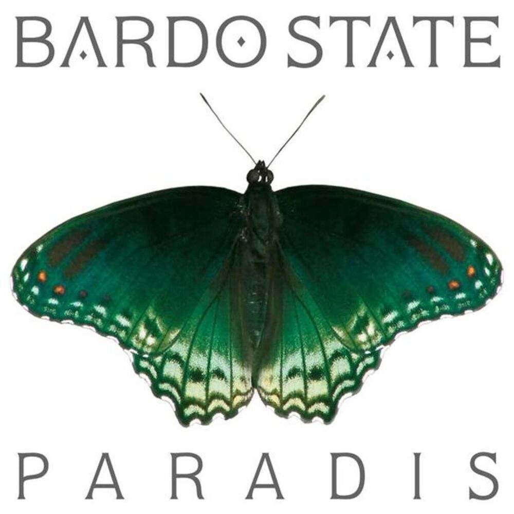 Picture of Bardo state