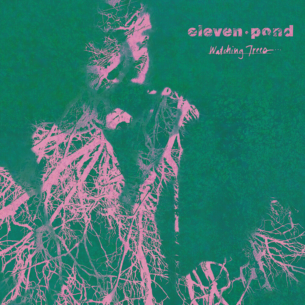 Picture of Eleven Pond