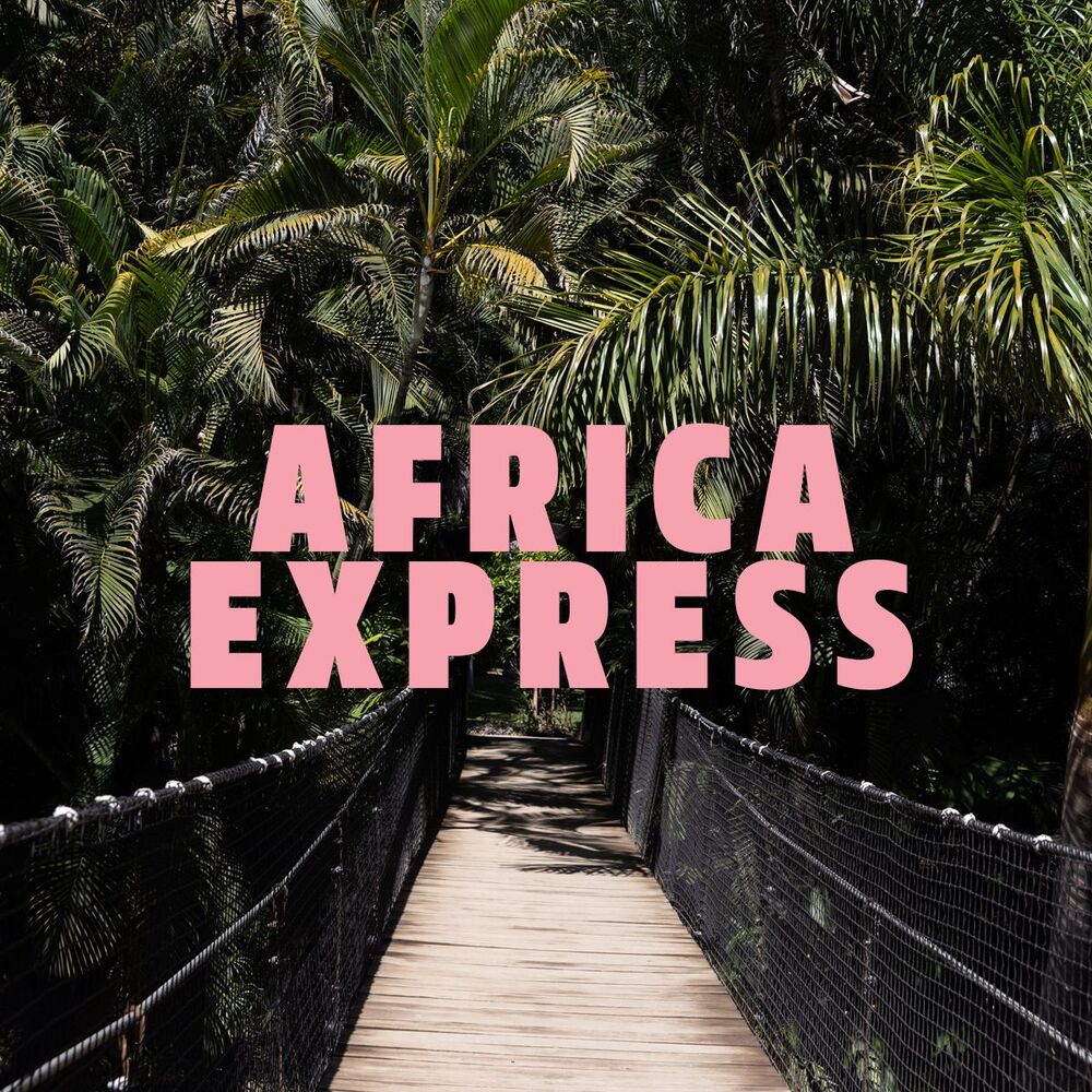 Photo de l'artiste Africa Express
