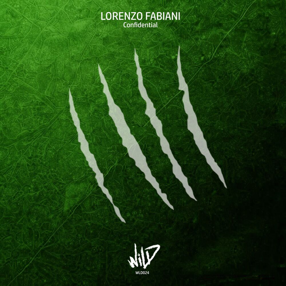Picture of Lorenzo Fabiani