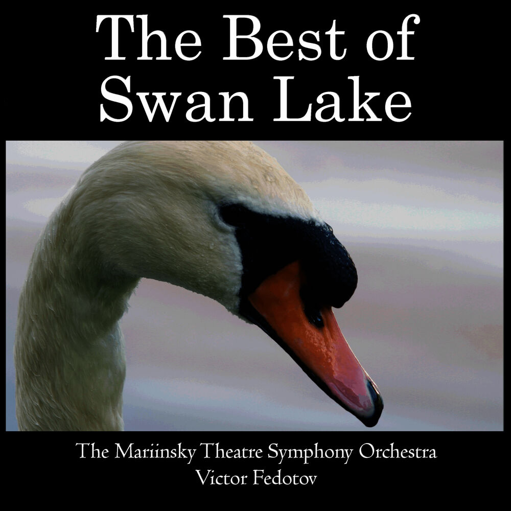 Picture of Mariinsky Theatre Symphony Orchestra