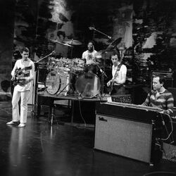 Picture of Mahavishnu