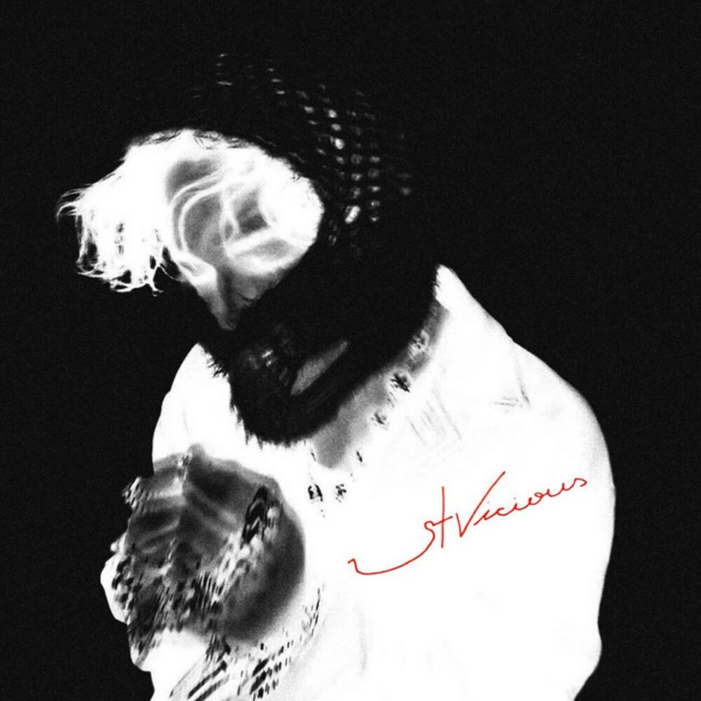 Picture of stevie vicious