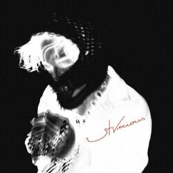 Picture of stevie vicious