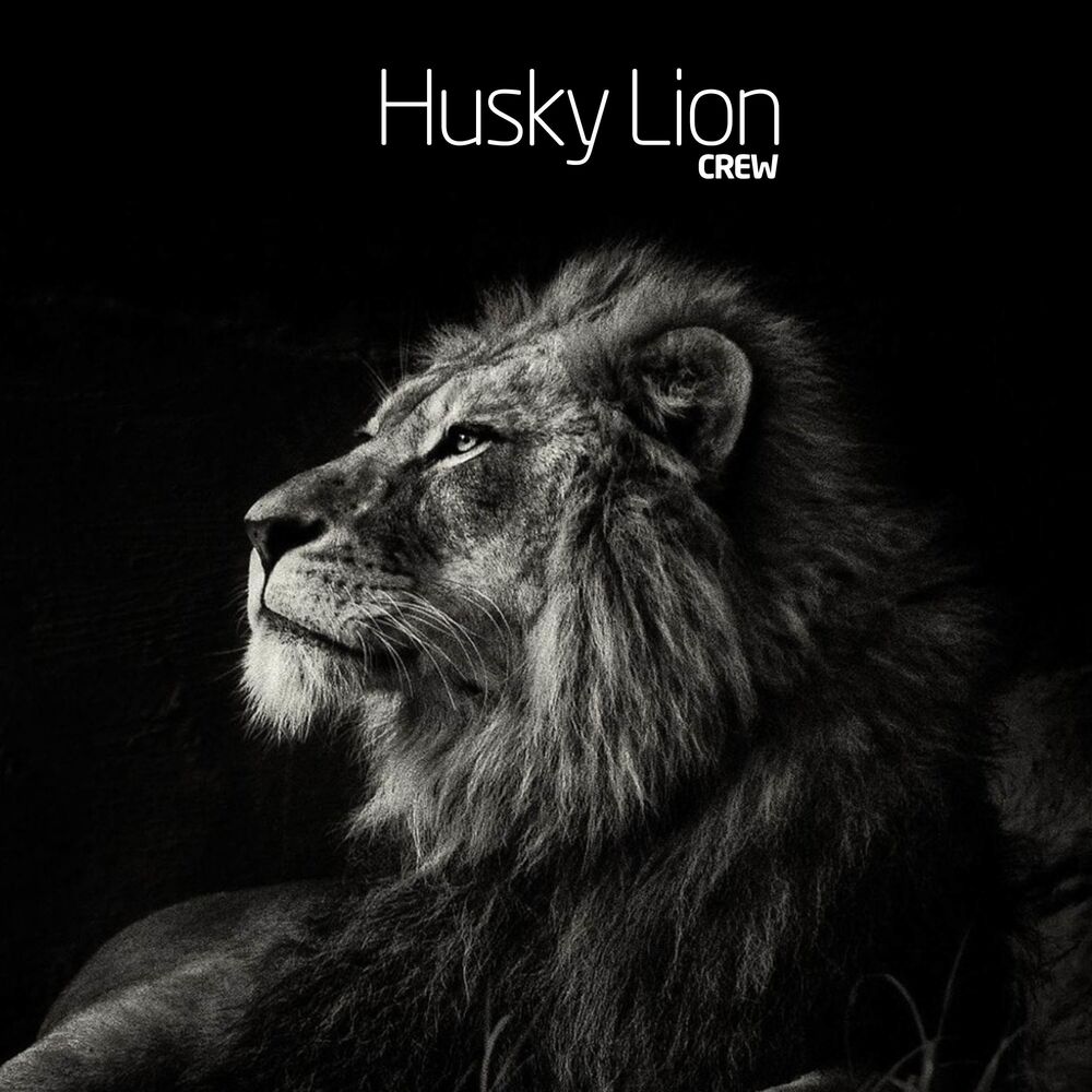 Picture of Husky Lion