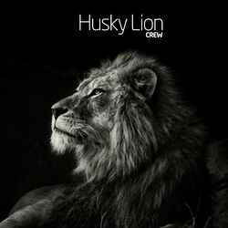 Picture of Husky Lion