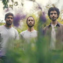 Picture of KLT