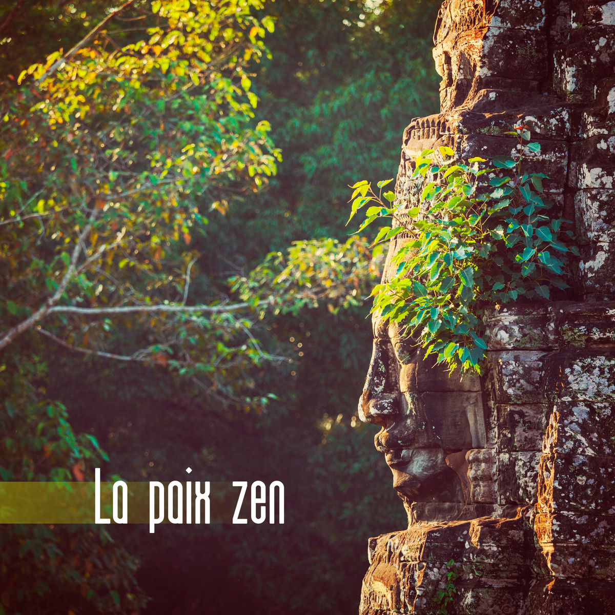 Zone de la musique zen