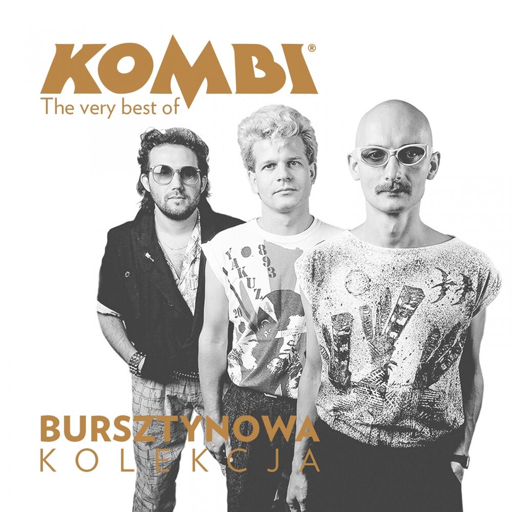 Picture of Kombi