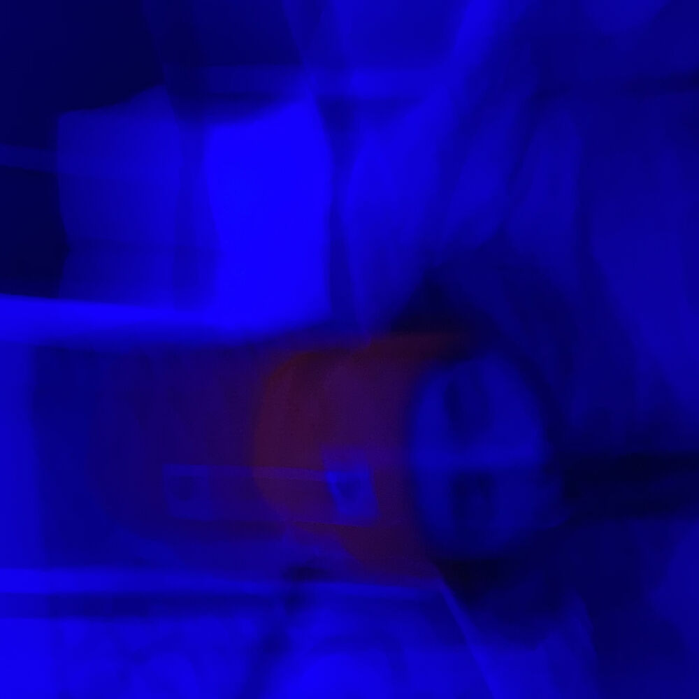 Picture of Jives