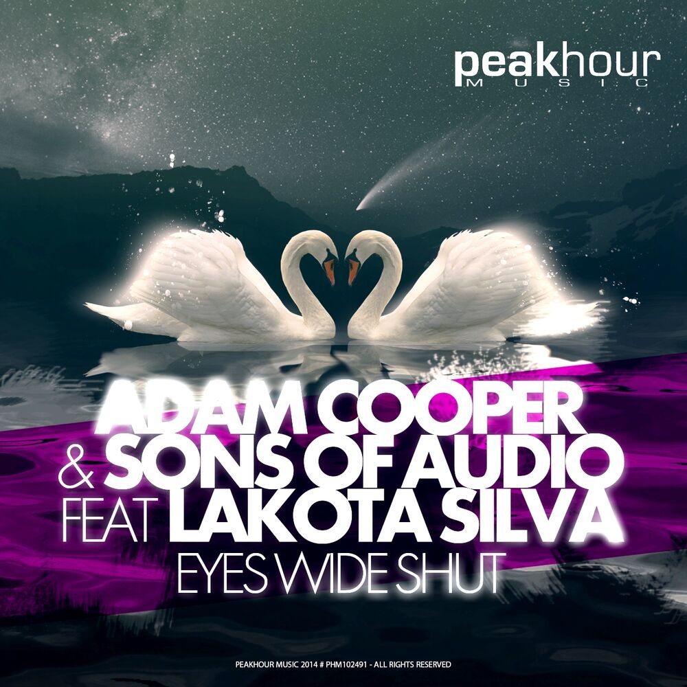 Picture of Adam Cooper & Sons of Audio feat Lakota Silva