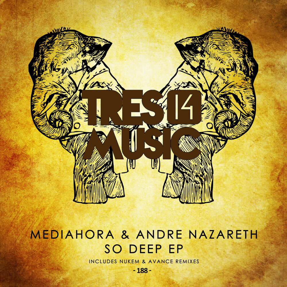 Picture of Mediahora & Andre Nazareth