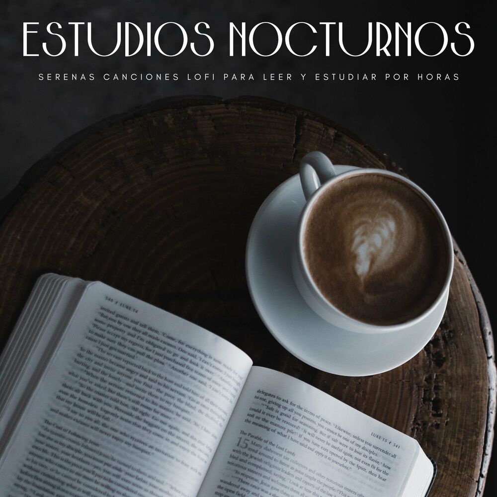 Picture of Estudio Brillante