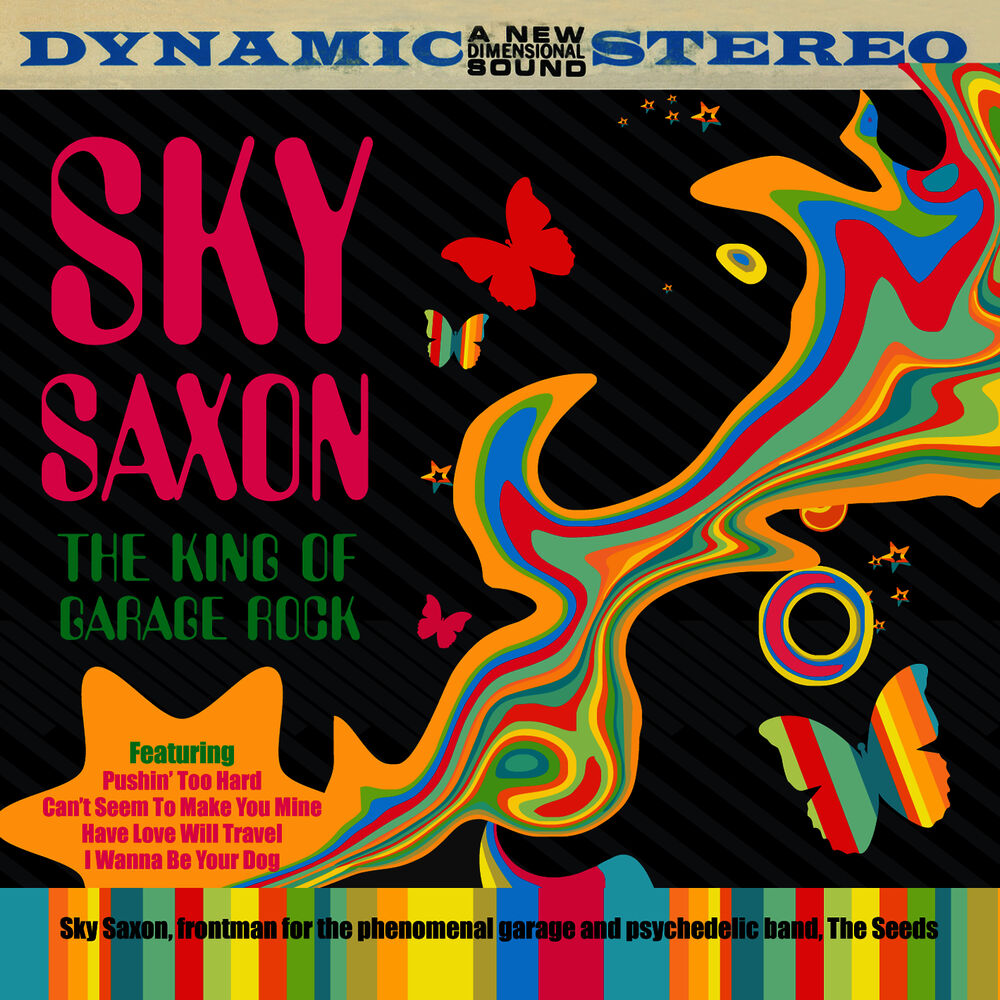 Picture of Sky Saxon