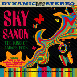 Picture of Sky Saxon